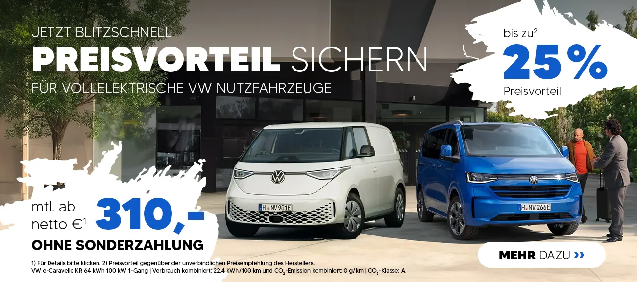 VW e-NFZ