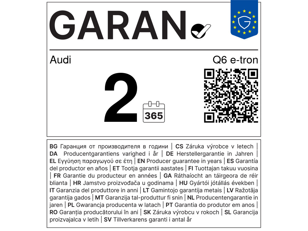 Q6 e-tron
