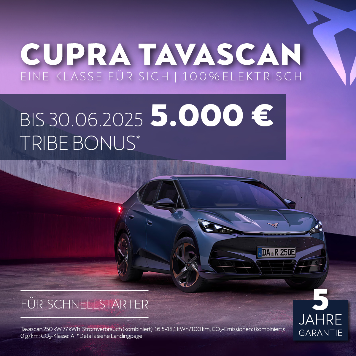 Beitragsbild Tavascan TRIBE Bonus
