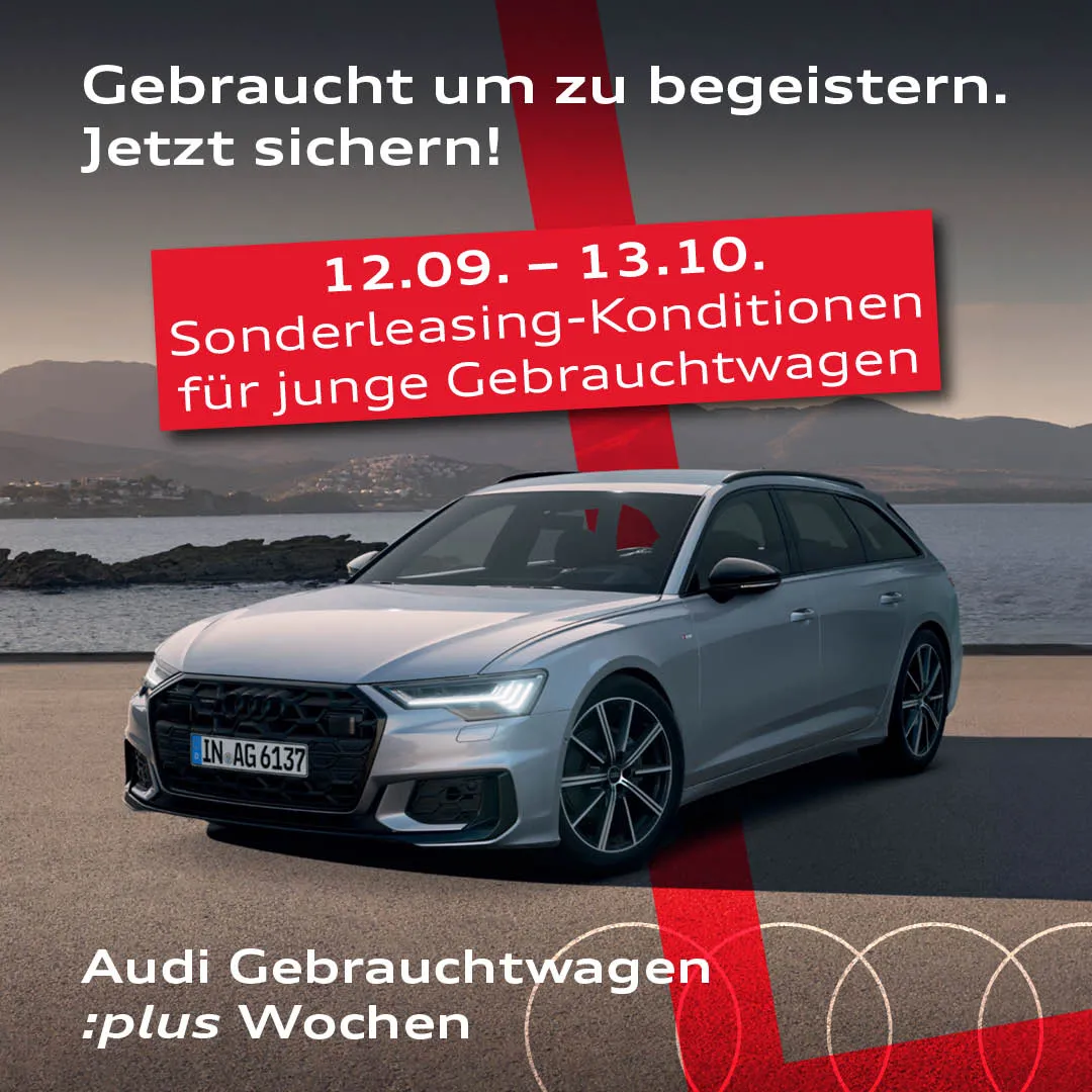 BB-audi-gw-plus-herbst